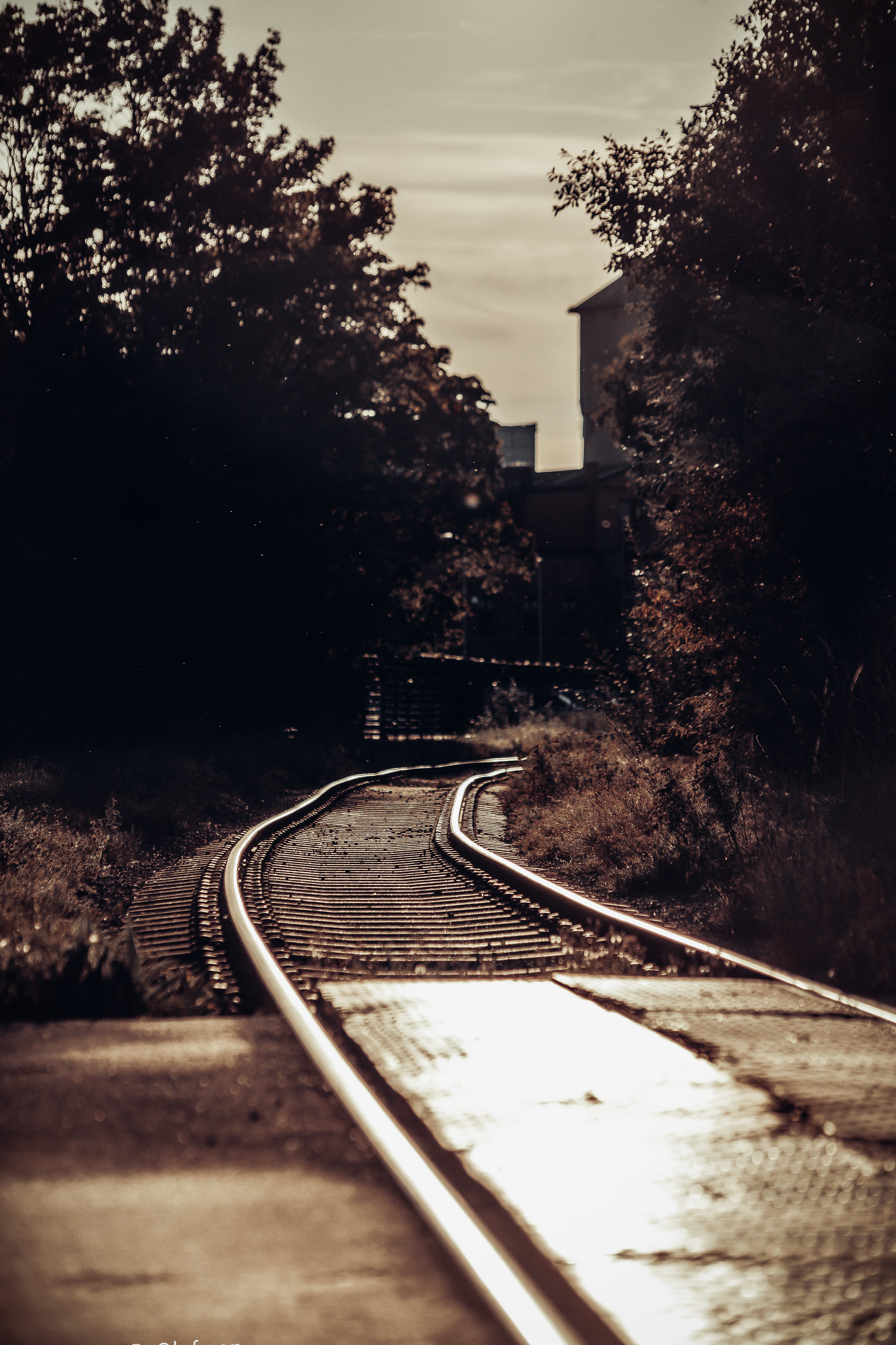 Minimalist Landscape