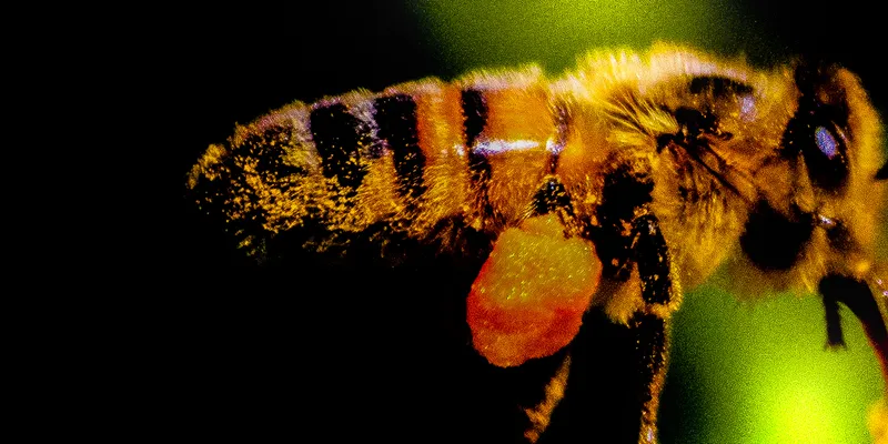 Foto taget med undefined