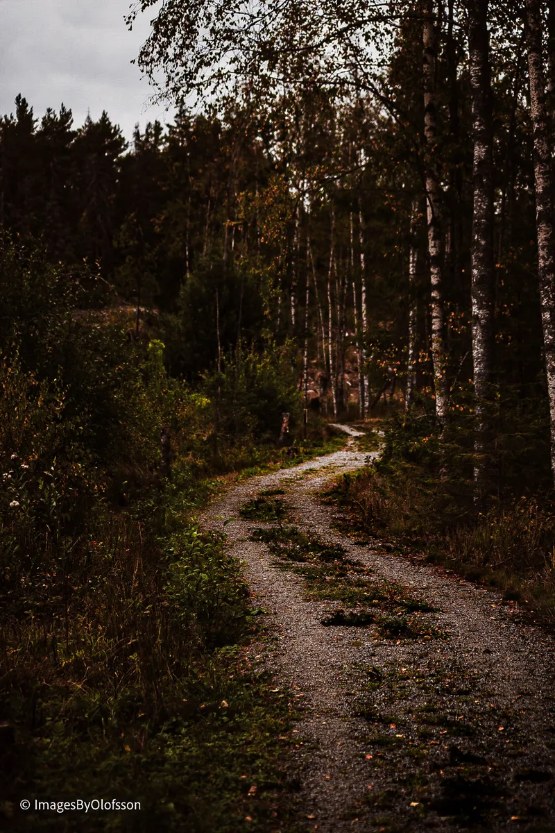 Foto taget med Canon EOS-1Ds Mark II