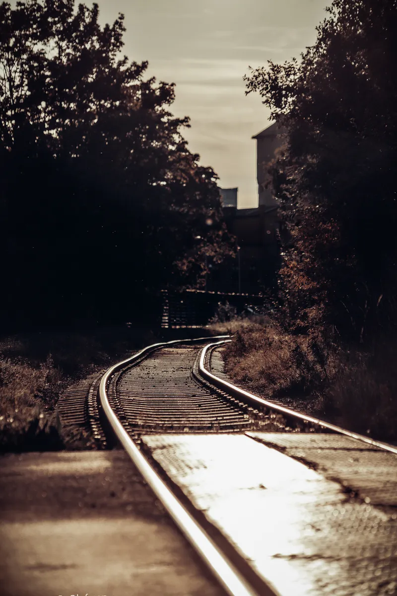 Foto taget med Canon EOS-1Ds Mark II