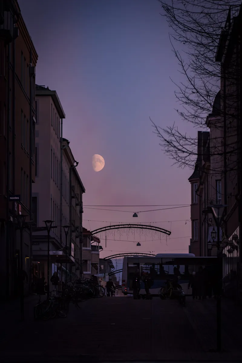 Foto taget med Canon EOS 550D