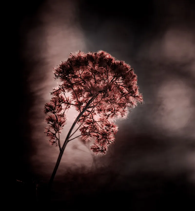 Foto taget med Canon EOS-1Ds Mark II