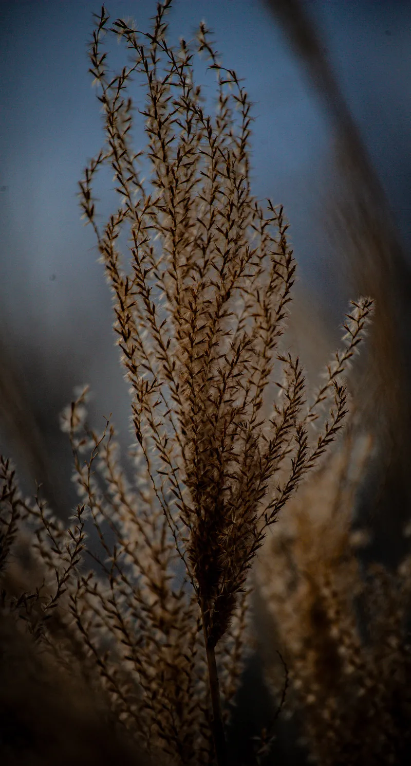 Foto taget med Canon EOS-1Ds Mark II