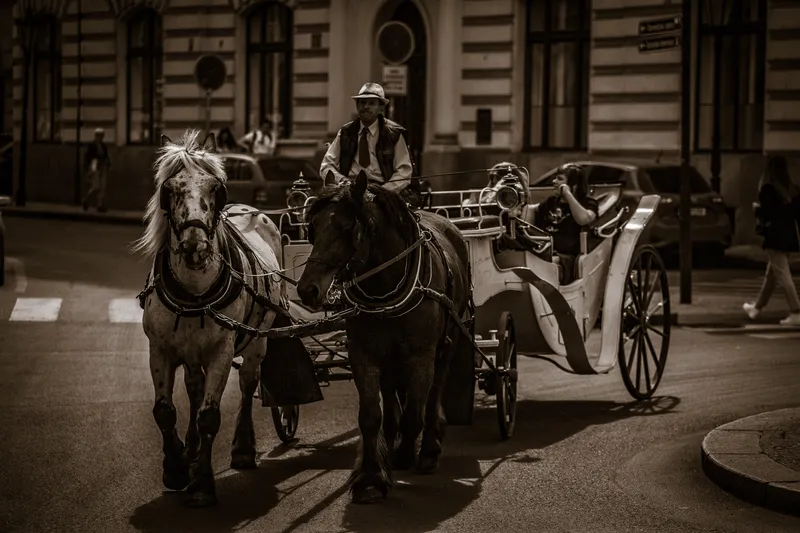 Foto taget med Canon EOS-1Ds Mark II