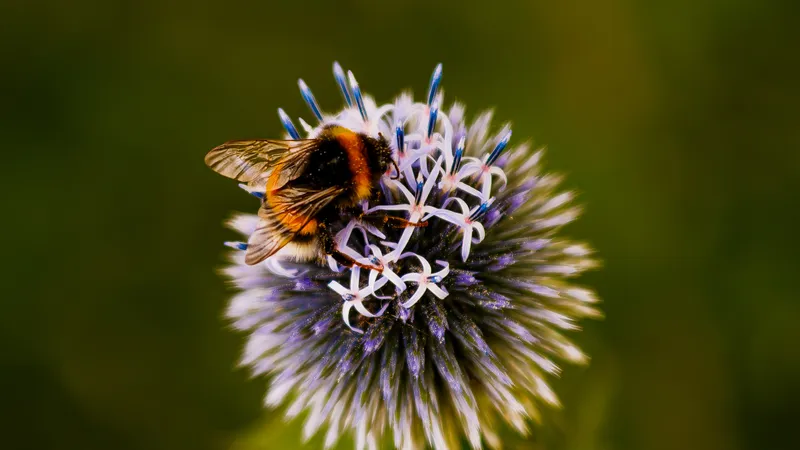 Foto taget med Canon EOS M