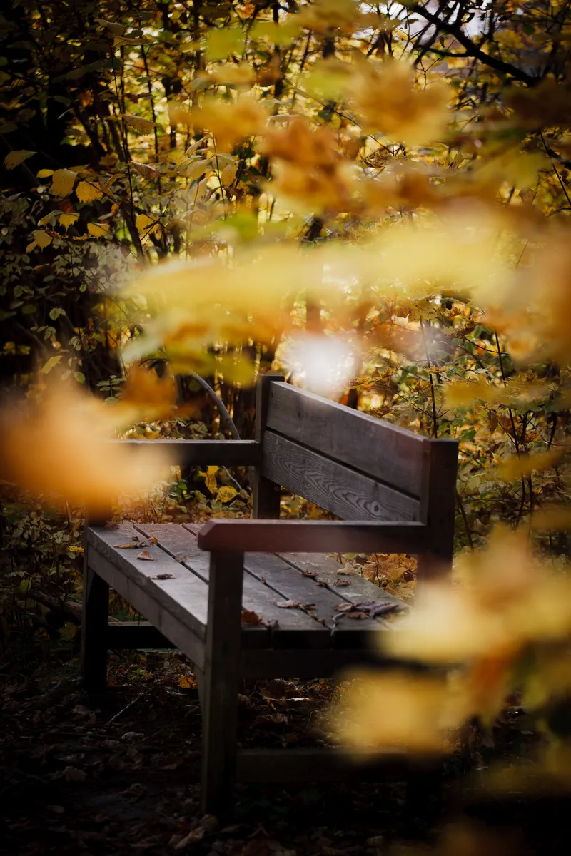 Foto taget med Canon EOS-1Ds Mark II