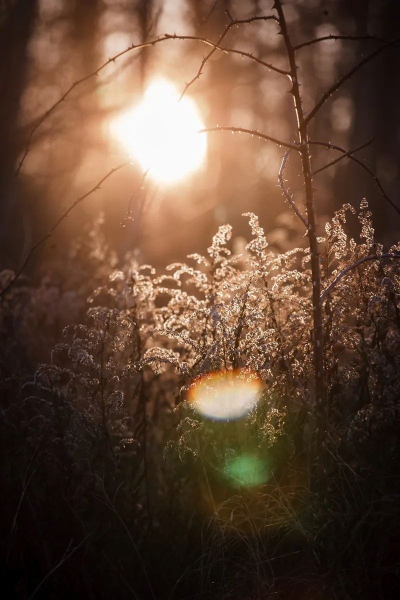 Foto taget med Canon EOS-1Ds Mark II