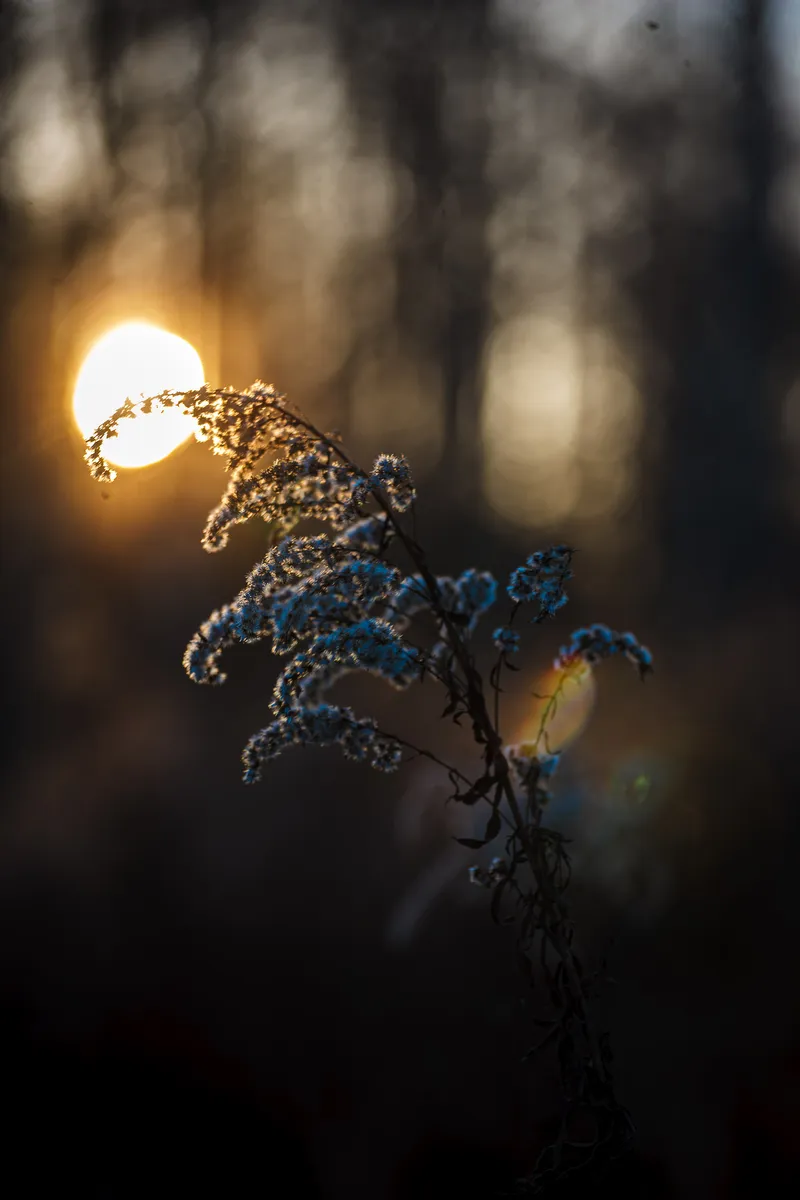 Foto taget med Canon EOS-1Ds Mark II
