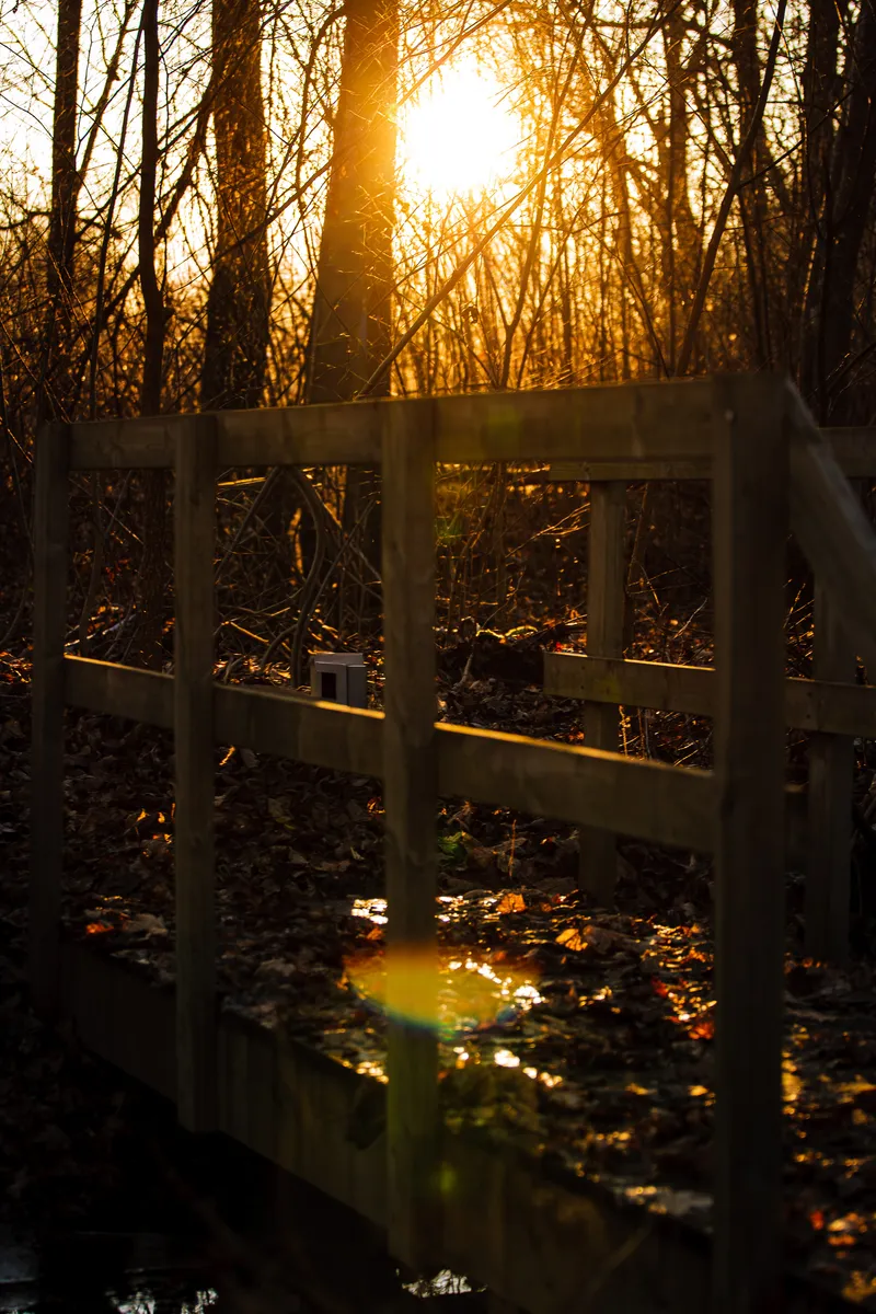 Foto taget med Canon EOS-1Ds Mark II