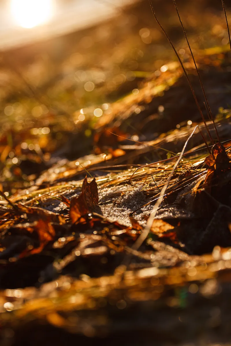 Foto taget med Canon EOS-1Ds Mark II