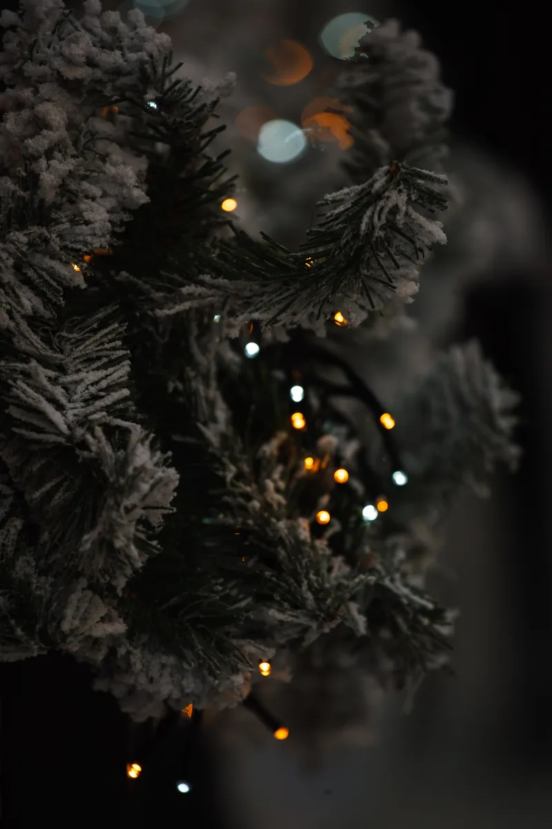 Foto taget med Canon EOS-1Ds Mark II
