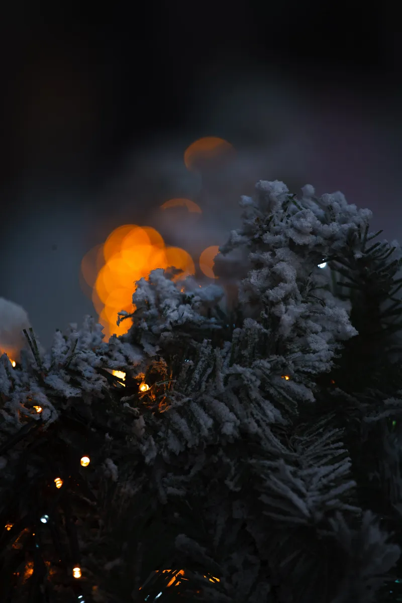 Foto taget med Canon EOS-1Ds Mark II