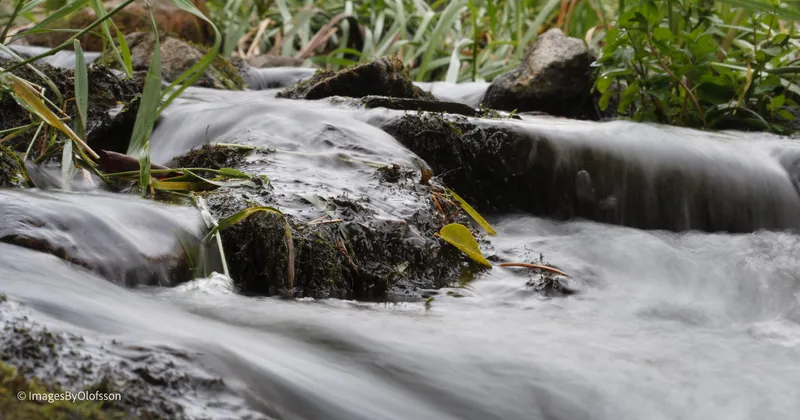 Foto taget med Canon EOS-1Ds Mark II