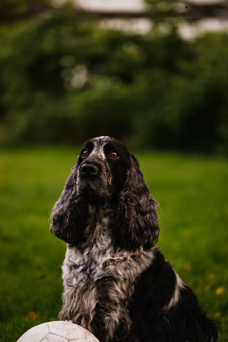 Foto taget med Canon EOS-1Ds Mark II